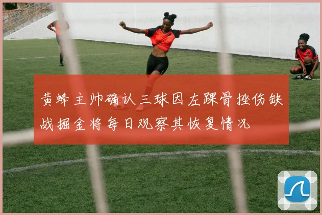 黄蜂主帅确认三球因左踝骨挫伤缺战掘金将每日观察其恢复情况