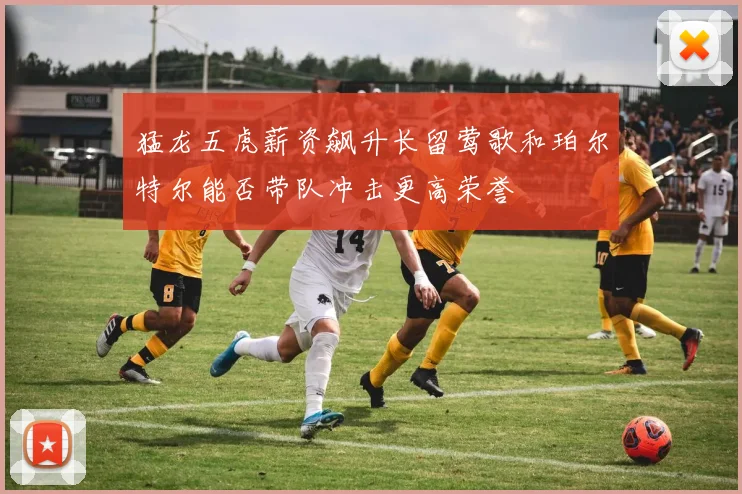 猛龙五虎薪资飙升长留莺歌和珀尔特尔能否带队冲击更高荣誉